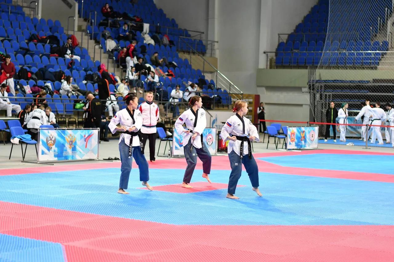 Спортсмены из Люберец завоевали две медали на соревнованиях по тхэквондо