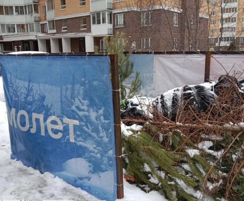 Порядка 20 кубометров новогодних елей отправили на переработку из Люберец