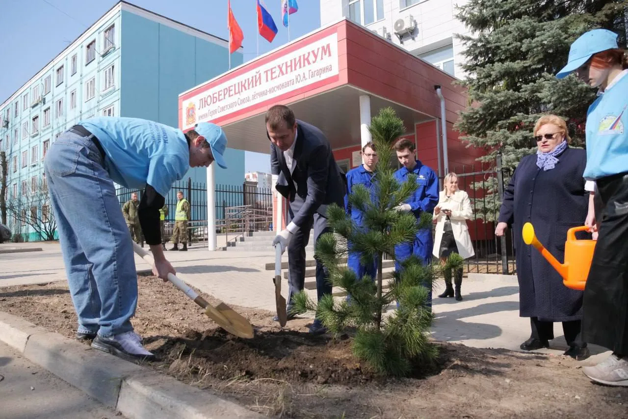 Владимир Волков высадил кедр на аллее перед техникумом в Люберцах, где учился Гагарин
