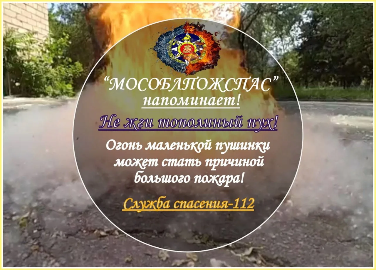 Жителей Люберец призвали не поджигать тополиный пух