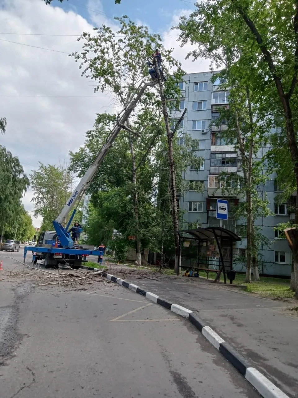 Жители Люберец могут обратиться в администрацию по вопросу опиловки деревьев у дорог