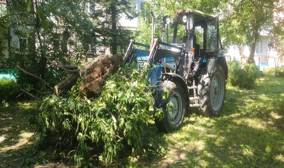 Из дворов Люберец вывезли для утилизации более 370 кубометров порубочных остатков