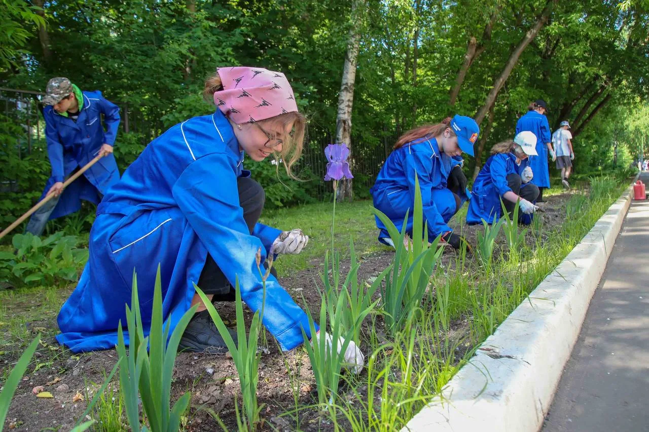 Подростков Люберец приглашают на работу в трудовые отряды