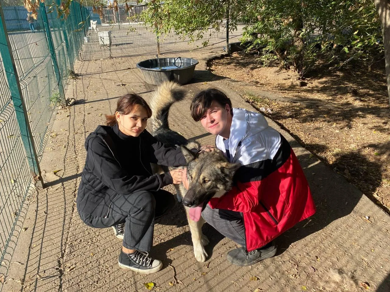 Студенты техникума Люберец передали корм в приют для животных