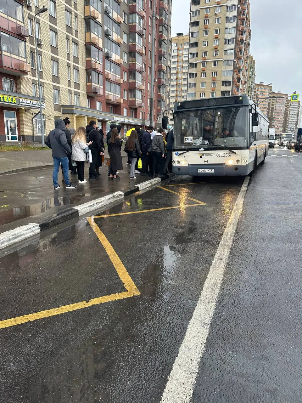 В Люберцах на линию с начала года вышли 26 новых автобусов