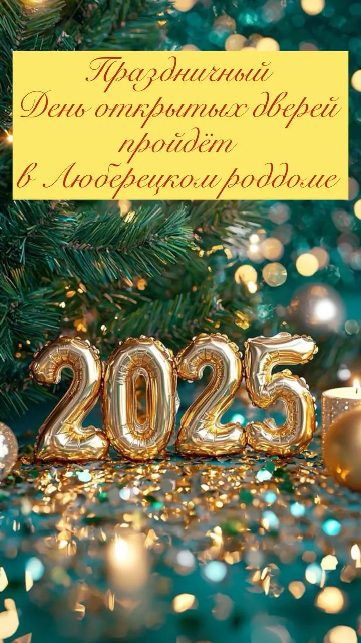 Праздничный День открытых дверей пройдет в Люберецком роддоме