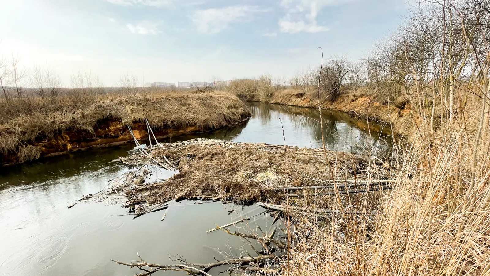 Санитарную расчистку восьми водоемов Люберец проведут в 2025 году