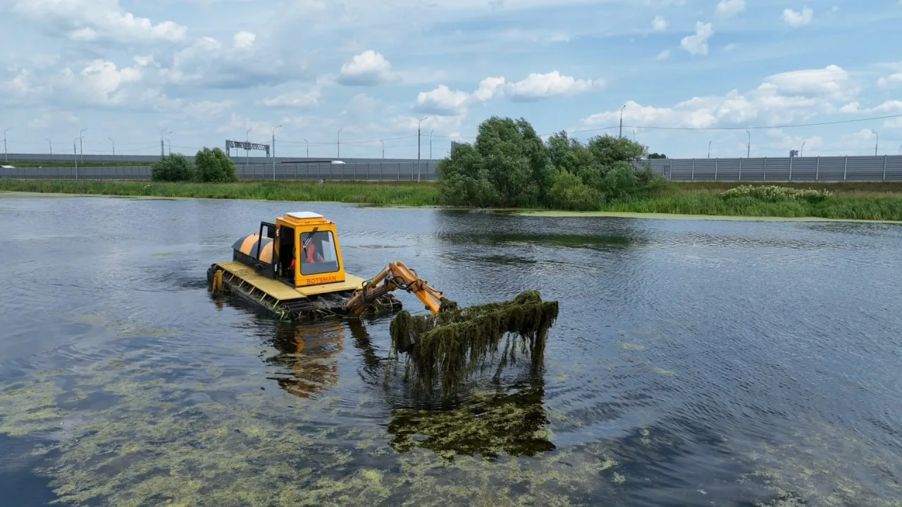 Расчистку трёх прудов выполнили в Люберцах с начала года