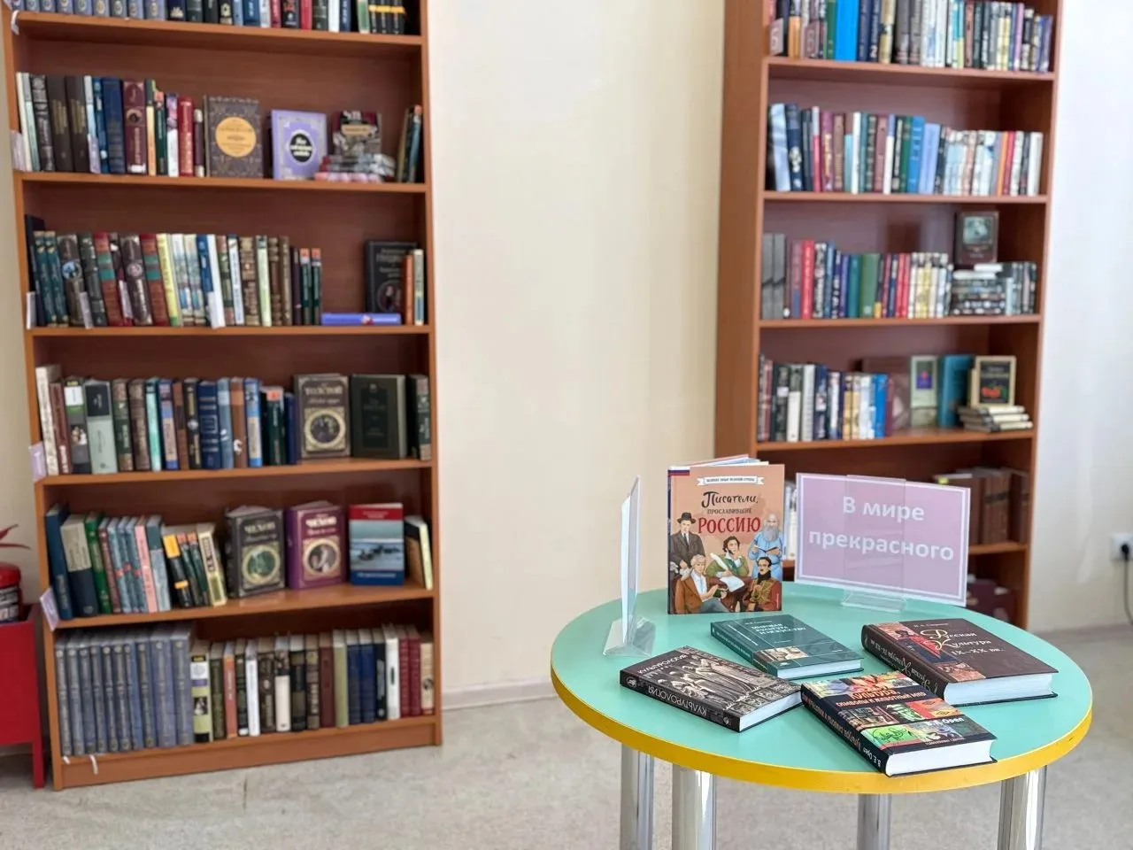 В библиотеках Люберец завершили процесс трансформации книжных фондов