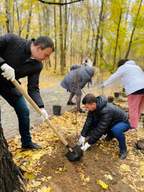 Партийцы высадили 30 кустов пузыреплодника в парке поселка Люберец