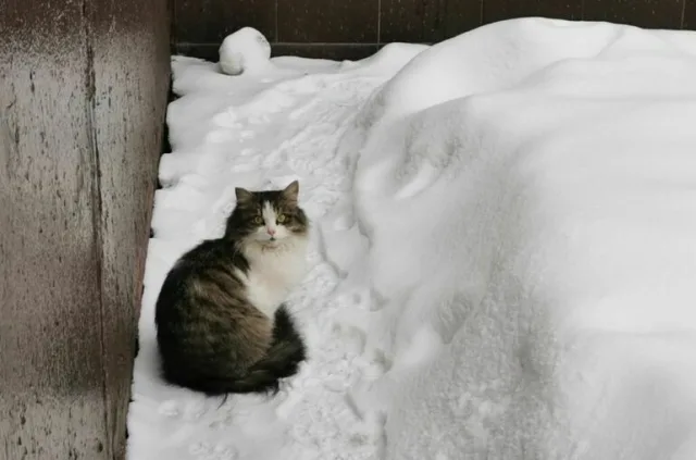 В выходные люберчан ждут январские морозы