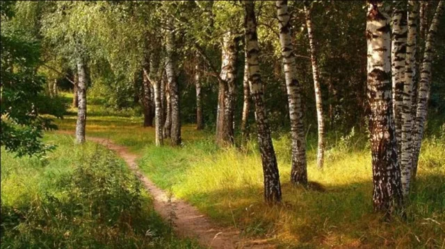 В новом парке Люберец для жителей установят детские и спортивные площадки