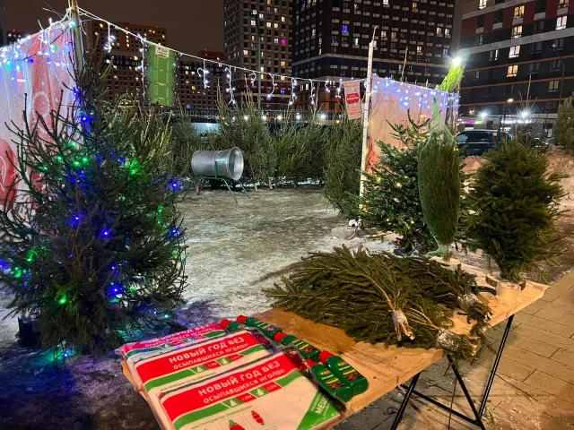 В Люберцах работают порядка 30 елочных базаров