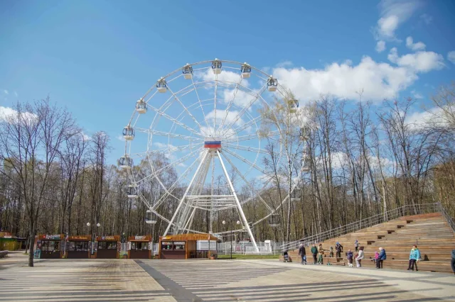 За 2022 год Наташинский парк в Люберцах посетили почти 850 тысяч человек