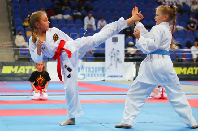 В Люберцах состоится международный турнир по карате имени летчика-космонавта В. Горбатко