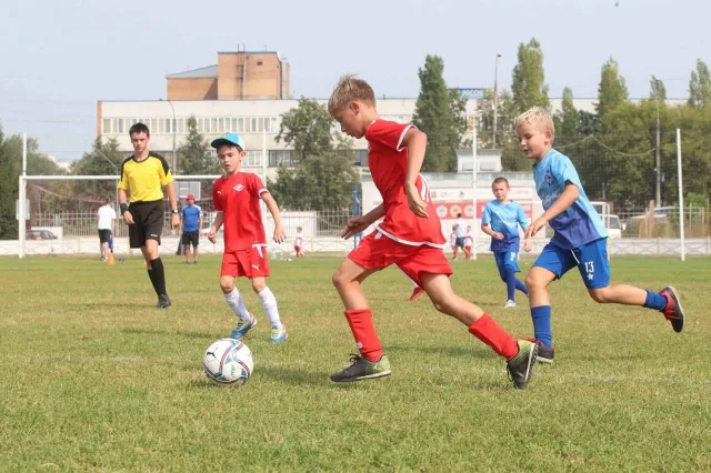 В Люберцах для жителей планируют провести более ста спортивных мероприятий летом