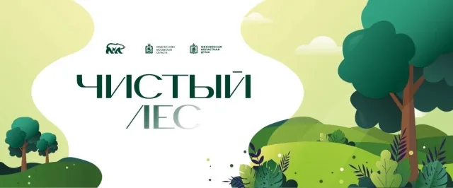 Жители Люберец могут принять участие в экологической акции по уборке леса в поселке