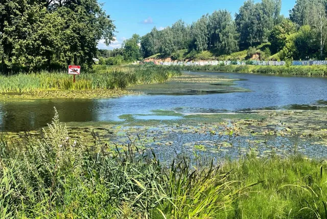 Спасатели напомнили жителям Люберец о безопасности во время отдыха у воды
