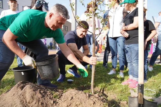 Жители Люберец высадили более 2,5 тысячи деревьев и кустарников во время экомарафона