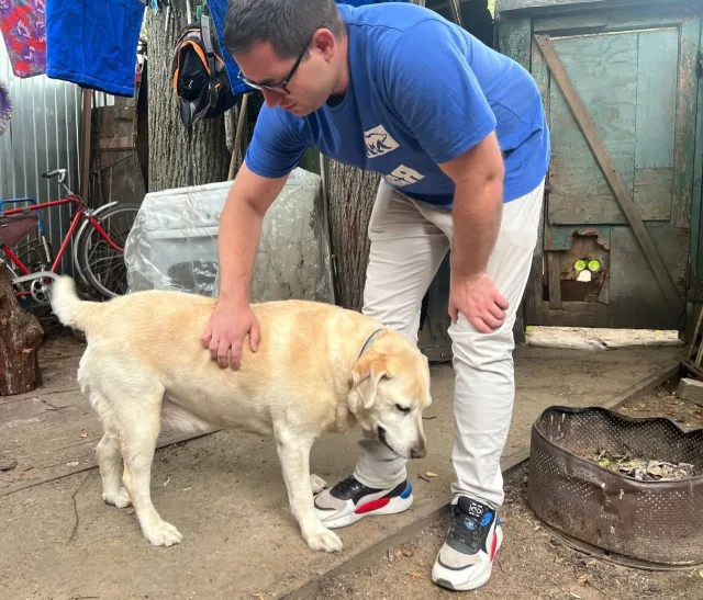 В Люберцах организовали сбор корма для животных из приютов