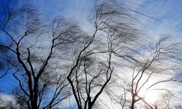 На выходных в Люберцах ожидается усиление ветра и понижение температуры воздуха