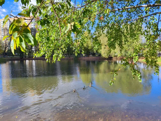 Фонтаны в Ухтомском пруду Люберец возобновят работу весной