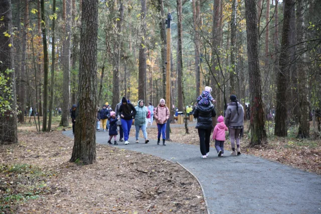 Протяженность тропиночной сети в новом парке поселка Люберец составляет порядка 6,5 км