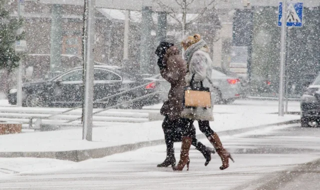 Гидрометцентр объявил в Московской области «желтый» уровень погодной опасности из-за ветра и метели