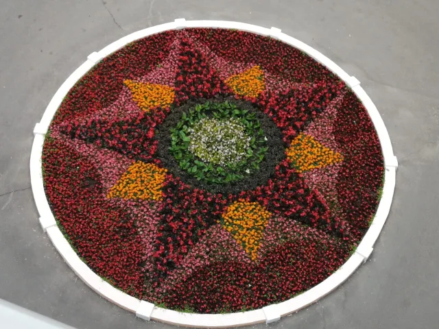 В Люберцах планируют высадить на клумбах и в вазонах более 230 тысяч однолетних цветов