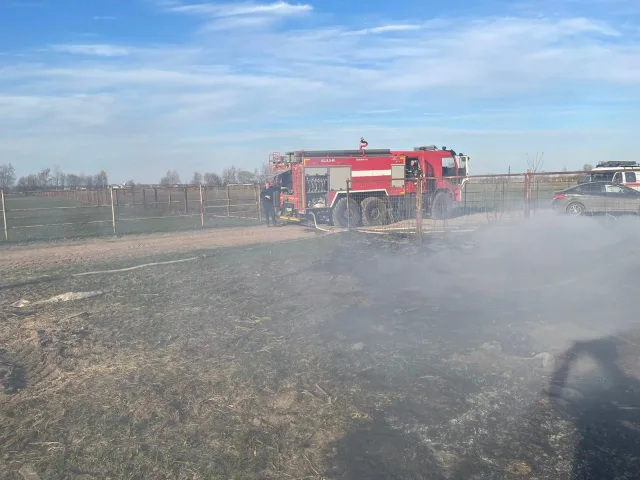 Жителей Люберец призывают не поджигать сухую траву