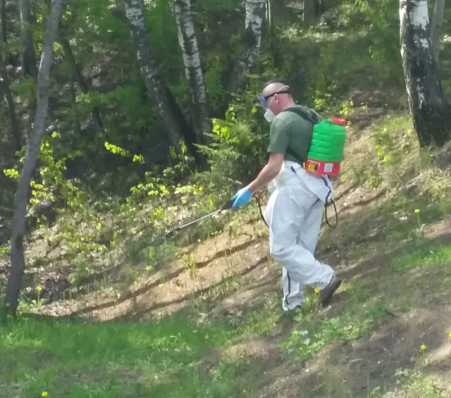 Территорию Кореневского карьера в Люберцах обработали от клещей
