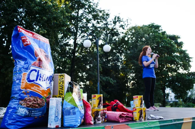 В Люберцах прошел благотворительный концерт в поддержку бездомных животных