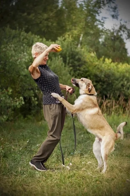 Владельцы домашних животных смогут зарегистрировать питомцев в Центральном парке Люберец 10 сентября