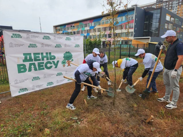 Самбисты Люберец посадили деревья в рамках экоакции «День в лесу. Сохраним лес вместе»