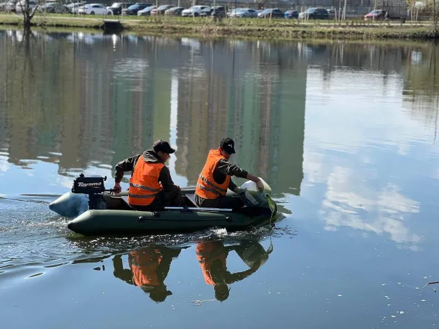 Планктон для очистки водоема запустили в пруд Люберец