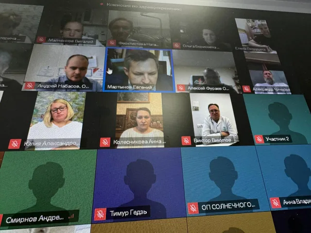 Онлайн-заседание Комиссии по здравоохранению Общественной палаты Московской области