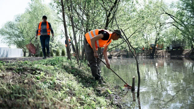 Более 800 м³ отходов было вывезено в ходе очистки Токарёвского пруда в Люберцах