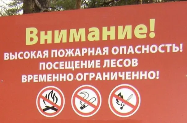 Ограничение пребывания людей в лесах области введено с 29 мая по 3 июня
