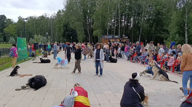 Выставку военного обмундирования организовали для гостей Дня кинолога в Люберцах