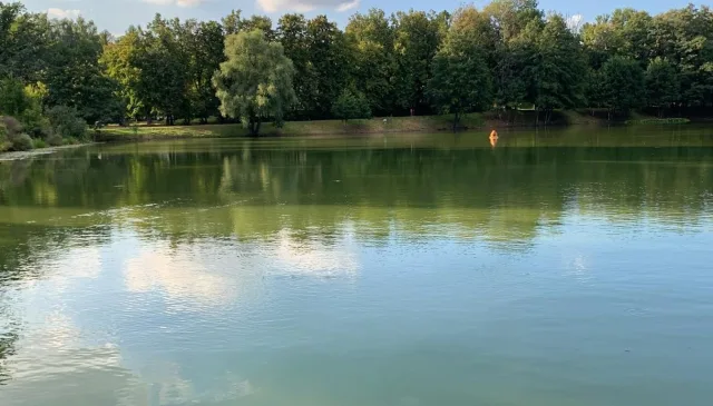 Верхний пруд в Дзержинском — на контроле экологов