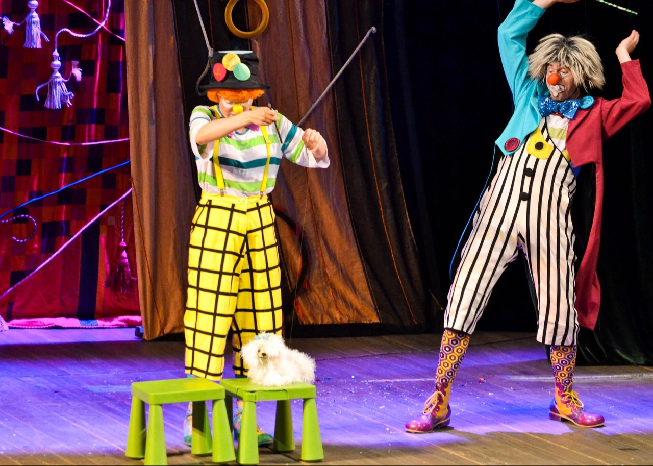 Представления из комических сценок. Клоун в цирке. Артисты цирка. Клоун на сцене. Клоун на арене цирка.