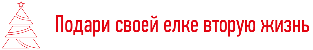 elka_montazhnaya_oblast_1.png