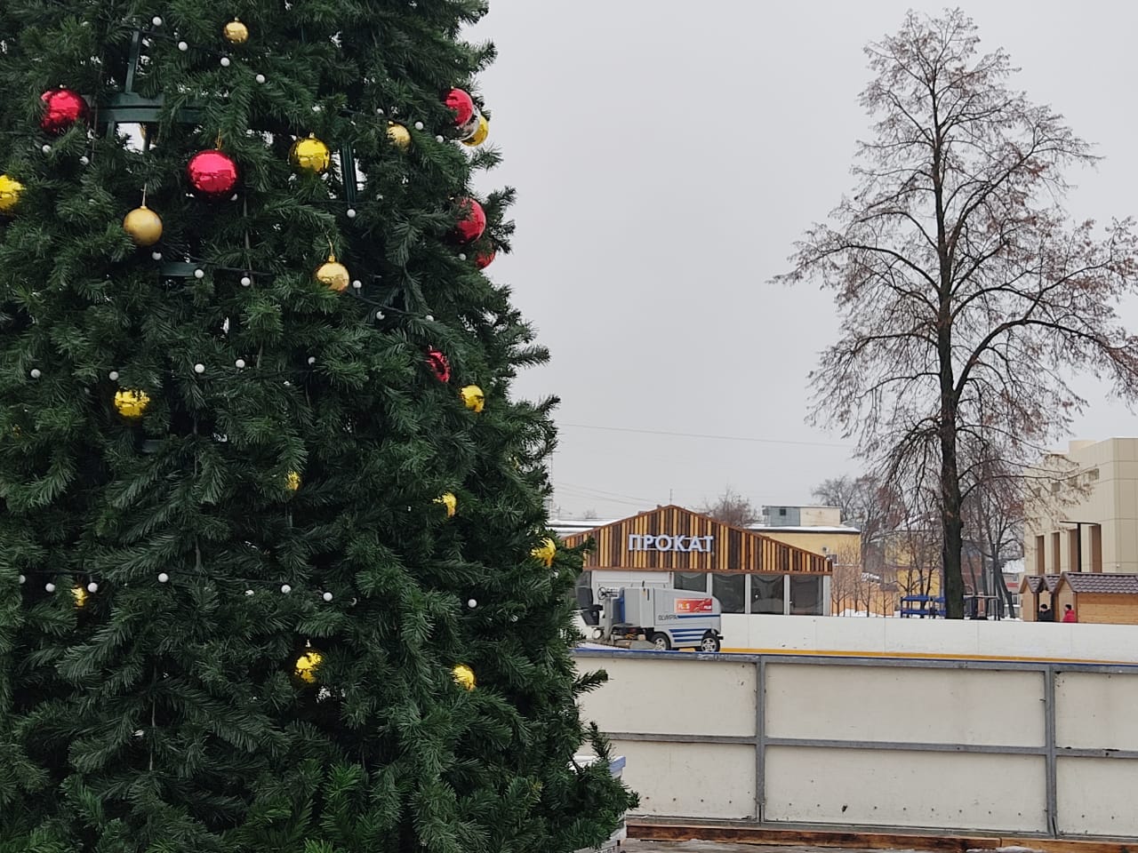 каток в наташинском парке люберцы