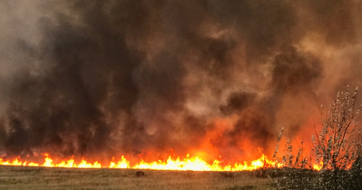 Ландшафтный пожар фото